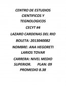 Reporte de estudios en Centro de Estudios Tecnológicos y Científicos