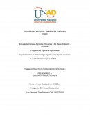 TRABAJO PRACTICO CURSO BIOTECNOLOGIA 1