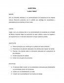 AUDITORIA “LAVA TODO”