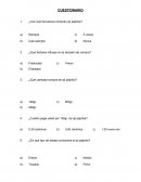 Cuestionario sobre el producto paprika