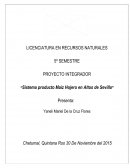 DESCRIPCIÓN DEL TRABAJO SOCIO-ECONÓMICO DEL RECURSO