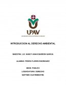 EL DERECHO AL MEDIO AMBIENTE TUVO RECONOCIMIENTO INTERNACIONAL A PARTIR DE LA DECLARACION DE ESTOCOLMO DE 1972