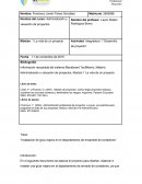 Integradora: La vida de un proyecto