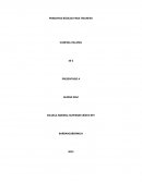 PRINCIPIOS BÁSICOS PARA TRIUNFAR.