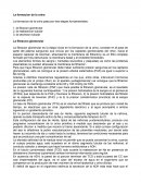 Ensayo de anatomía, La formacion de la orina