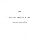 Tema de Ensayo plan Sectorial