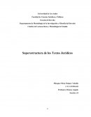 Superestructura de los Textos Jurídicos