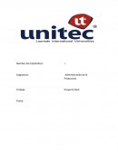 Administracion de la produccion SOUTHERN GLOVES, INC