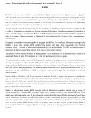 Transcripción del audio del documental de la evaluación "El delfín"