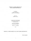 RECICLADORES INDEPENDIENTES