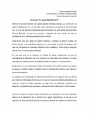 Ensayo : Aguja Hipodermica