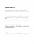 Actividades clave: plataforma / red