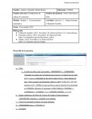Actividad: Ejercicio 11 – Sangre Humana y Benjamín Franklin.