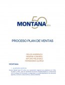 Proceso Plan de Ventas