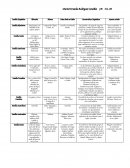 Familia Australiana Lingüística