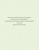 Características y clasificación de sustancias peligrosas