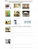 FIGURAS LITERARIAS: COMPARACIÓN, PERSONIFICACIÓN E HIPERBOLE