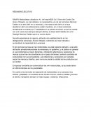 RESUMEN EJECUTIVO RAMFA MOTOCICLETAS