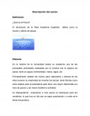 ¿Qué es la Pesca? Descripción del sector