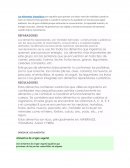 Los Alimentos Energéticos