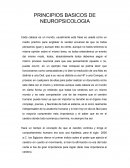 PRINCIPIOS BASICOS DE NEUROPSICOLOGÍA.