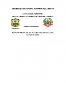 NUTRICION MINERAL DEL N, P, K, Ca, Mg; OXIDO DE SILICE EN EL CULTIVO DE ARROZ.