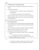 Psicoterapia profunda y dinamica