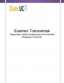 Examen Transversal “Seguridad y Salud Ocupacional en la Industria Pesquera y Acuícola”