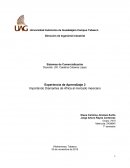 Experiencia de Aprendizaje 3 Importando Diamantes de África al mercado mexicano