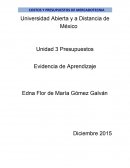 Evidencia de Aprendizaje Unidad 3 Desarrollo del presupuesto