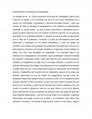 Experiencia sistema penitenciario, preventivo guadalajara