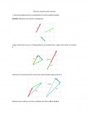 Ejercicios resueltos sobre vectores