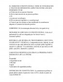 Practice de Guía de derecho constitucional