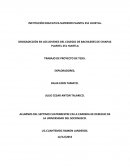 DROGADICCIÒN EN LOS JOVENES DEL COLEGIO DE BACHILERES DE CHIAPAS PLANTEL 251 HUIXTLA