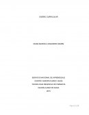 DISEÑO CURRICULAR DE REGENCIA DE FARMACIA