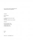 LIDERAZGO ÉTICO EN EL PERU