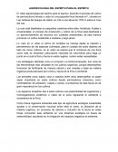 Agroecología del espíritu para el espíritu