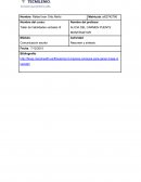 Resumen y síntesis. Aumentar masa muscular.