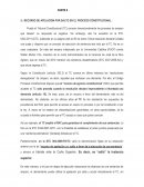 RECURSO DE APELACIÓN POR SALTO EN EL PROCESO CONSTITUCIONAL