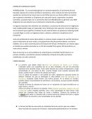 HARINA DE CASCARA DE HUEVO