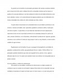 Resumen de Sustento Económico Familiar