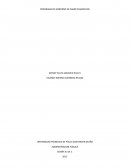 PROGRAMADE GOBIERNO DE SAMIR CASADIEGO