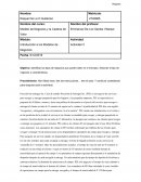 Actividad: Modelo de Negocios y Cadena de Suministros