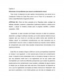Capítulo 3 Soluciones a los problemas que causa la contaminación visual.