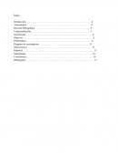 Contextualización Una lamentable pero cruel realidad es esto, el esclavismo del siglo XXI