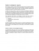 Capítulo 4: estrategias de negocios