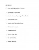 Guía de practica docente en escuela primaria