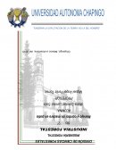 Manejo y control de madera en Patio