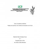 Que es el Gore EL PROBLEMA AMBIENTAL