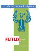 Netflix organizacion inteligente